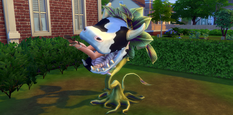 Killed by Cowplant in The Sims 4