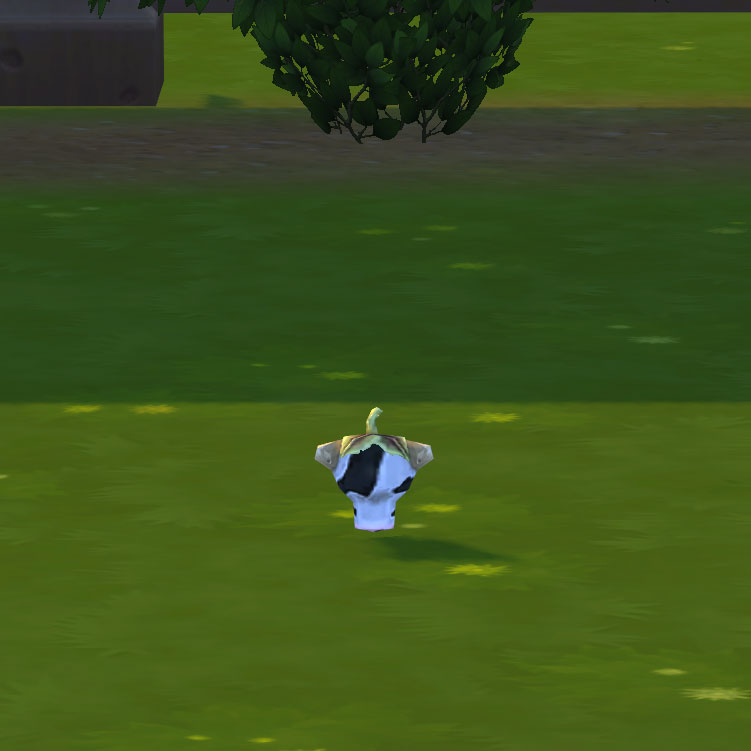 How To Make A Cowplant Grow Faster Sims 4 Cheat All About Cow Photos