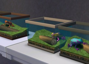 Frogs Collection in The Sims 4