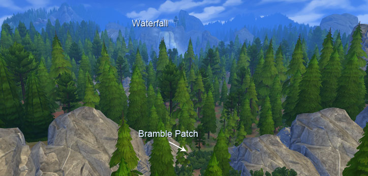 Bramble Patch Location