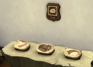 The Sims 4 Fossils Collection Guide