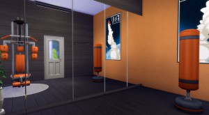 sims 4 home gym