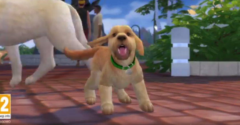 sims 4 cats and dogs expansion pack