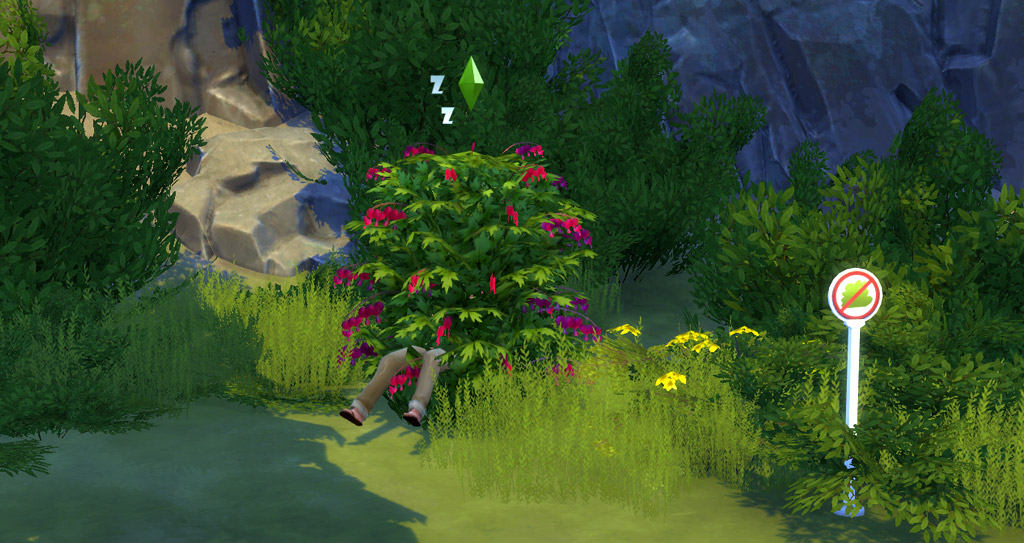 Take a nap in a Bush