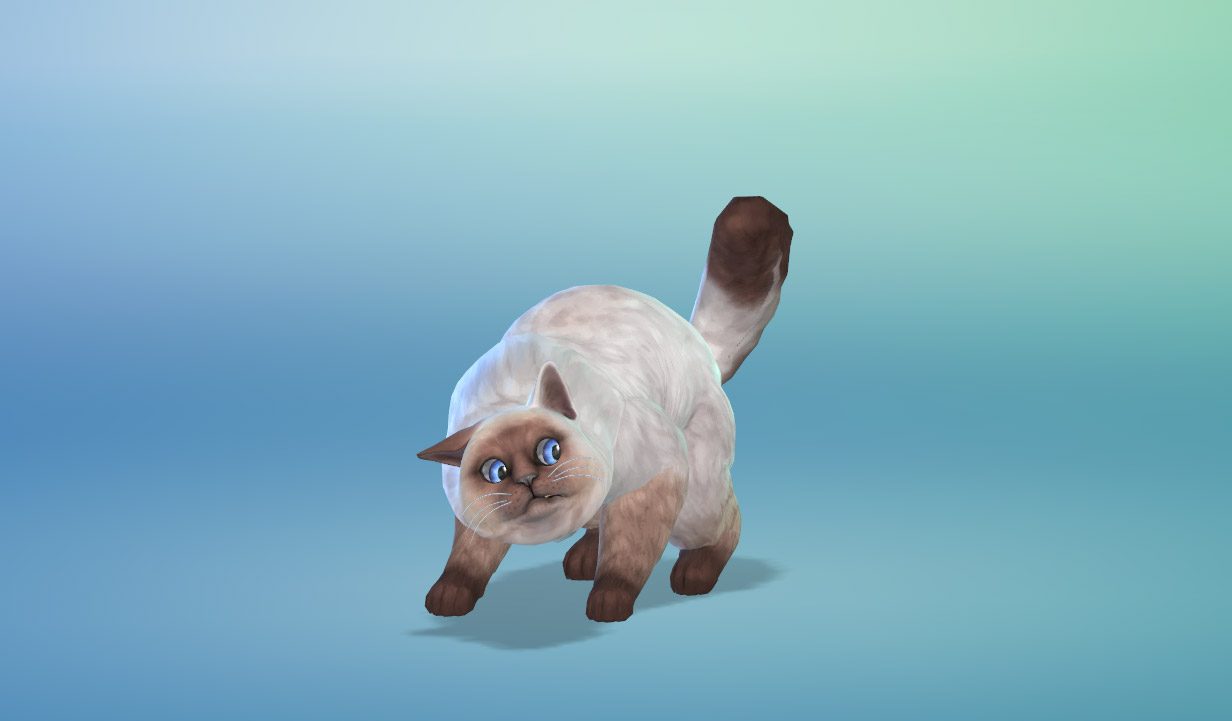 The Sims 4 Cats & Dogs Screenshot Ragdoll