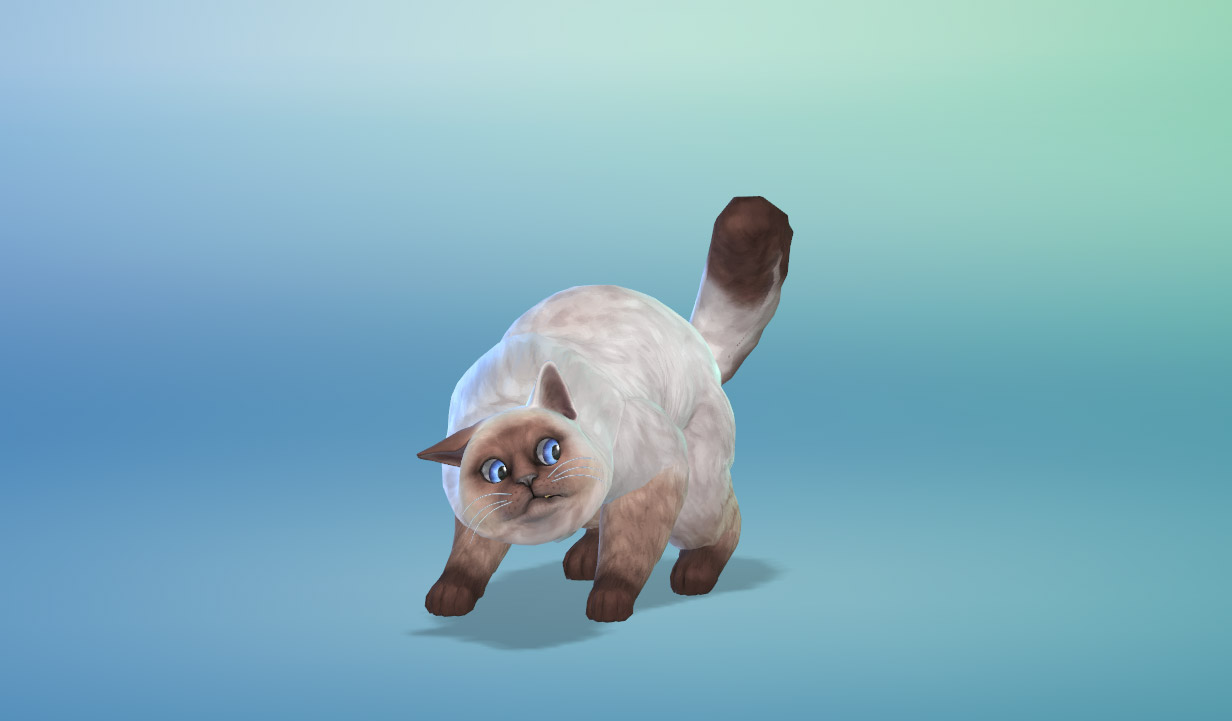 the sims 4 cats and dogs tutorial