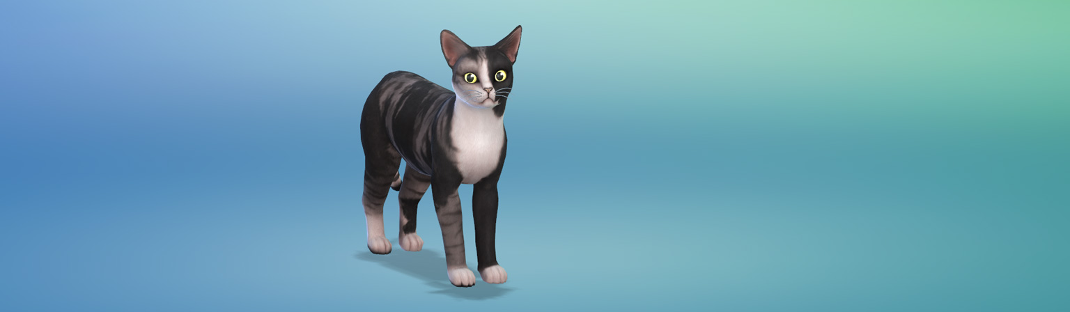 sims-4-cats-and-dogs-breeding-cheat-fuseaca