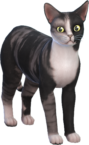 minimum specs for the sims 4 cats and dogs