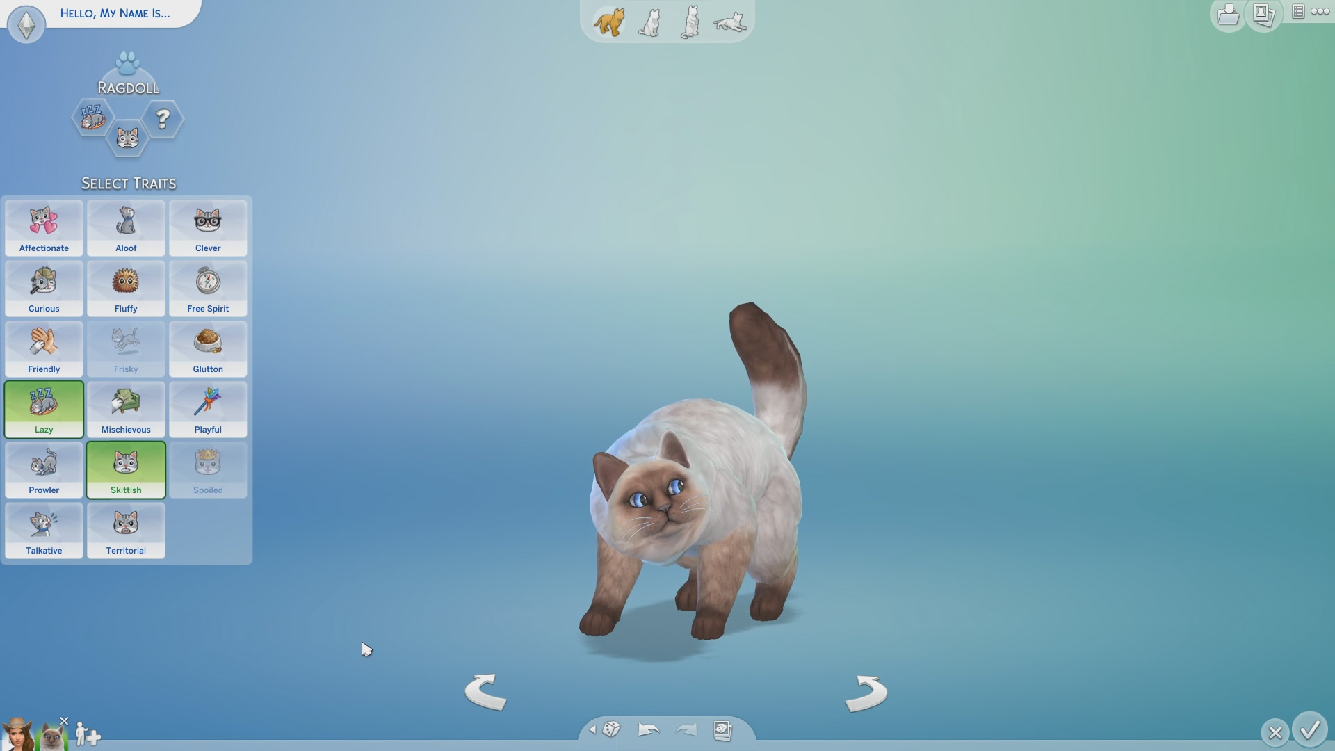 sims 4 cat and dog key generate