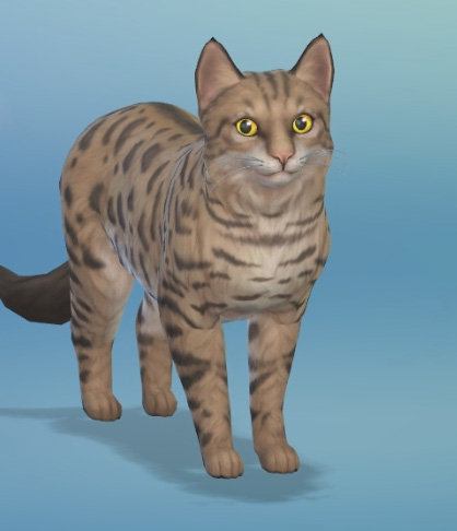 38 Best Images How To Breed Cats Sims 4 : The Sims 4 Cats & Dogs: Some More Create-a-Pet Pics! | SimsVIP