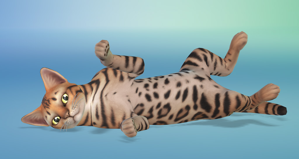 Pets will lay on their side so you can paint their belly and paws!