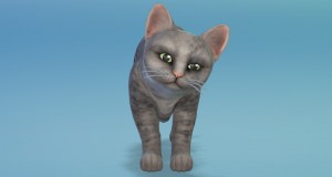 The Sims 4: Cats & Dogs Review - Sims Online