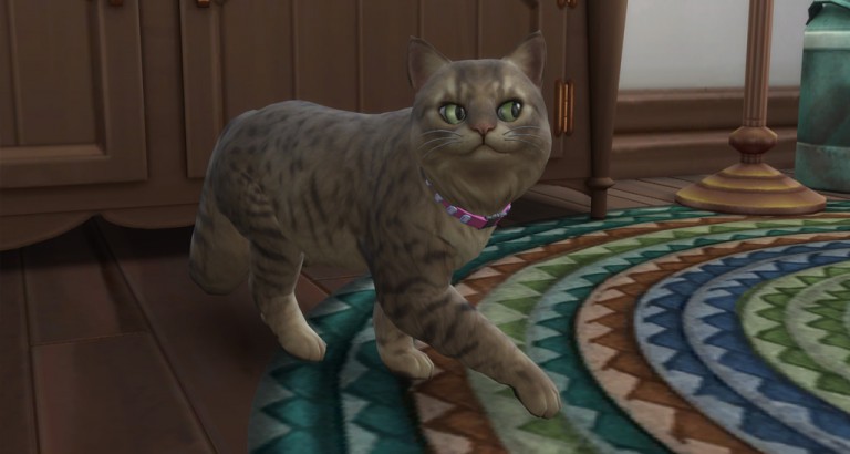 download cats and dogs sims 4 free mac download cats and dogs sims 4 free mac