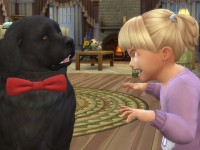 how do you send out an alert via in the sims 4 cats and dogs expansoin pack