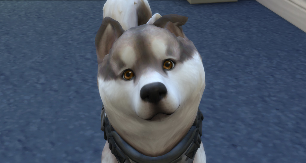 The Sims 4: Cats & Dogs Review - Sims Online