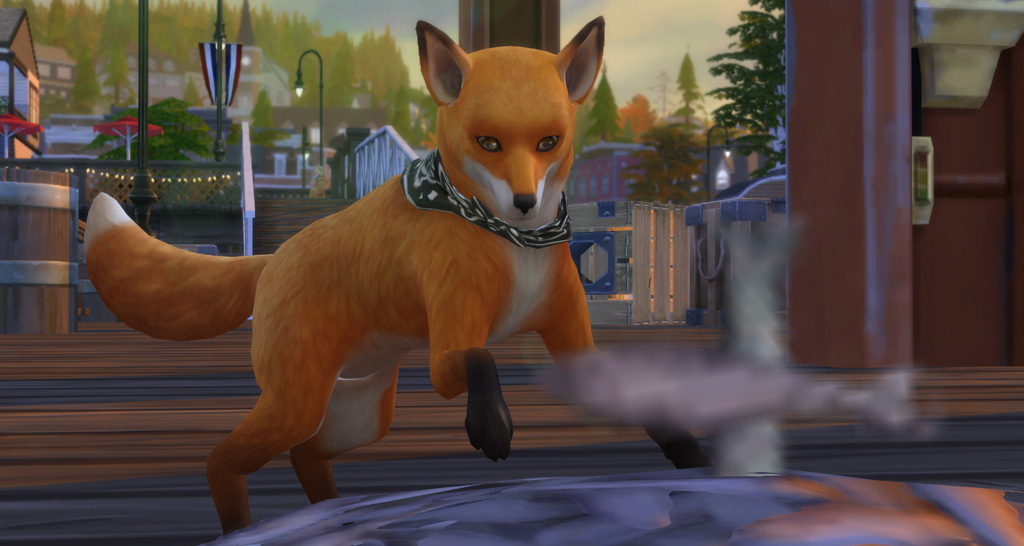 Foxes are troublemakers! This means they will need a lot of baths!