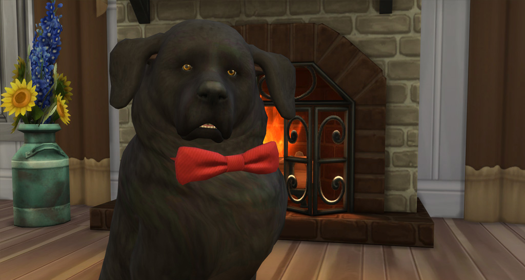 the sims 4 cats and dogs mod dog uncomfortable