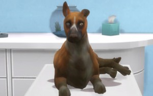 Prismatic Poop Plague