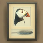 Puffin Feather