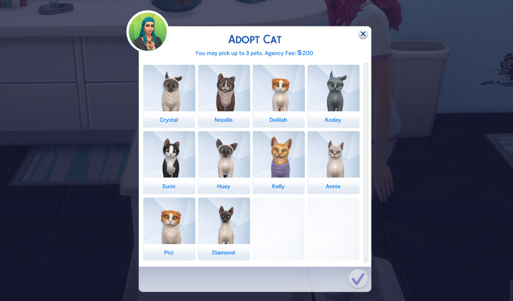 Adopt a new pet!