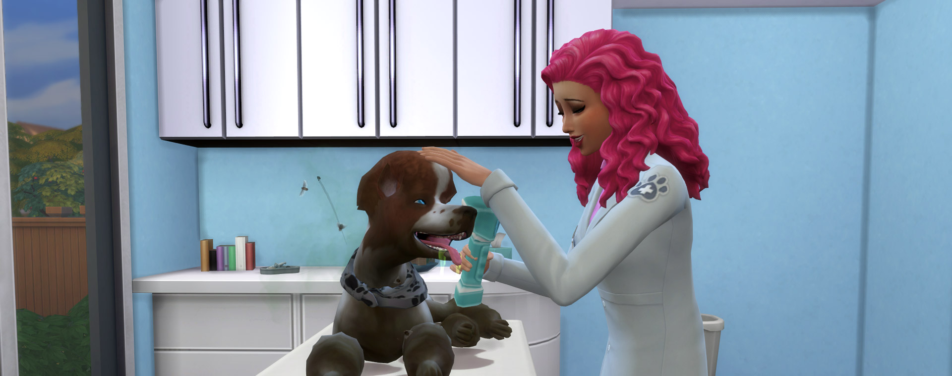the sims 4 cats and dogs when to do surgary