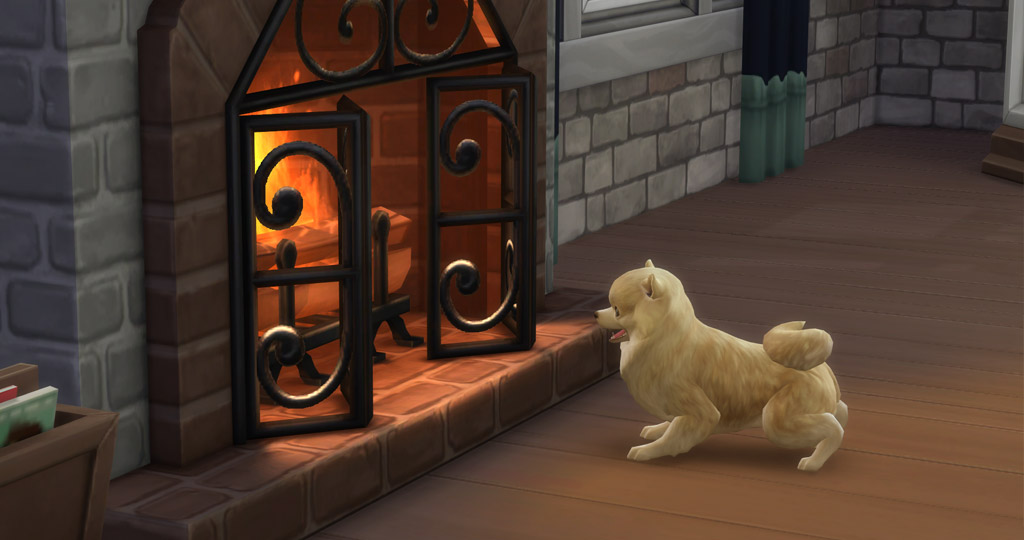 This dog is really obsessed over the fireplace