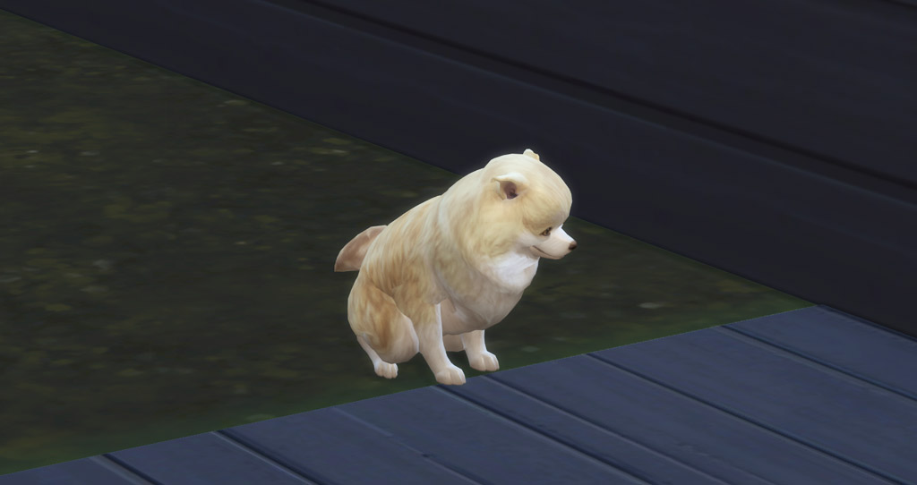 sims 4 pet training skill