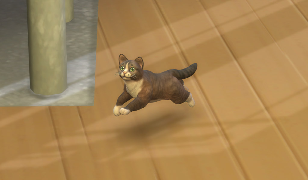 48++ Sims 4 sad cat Cat Pictures