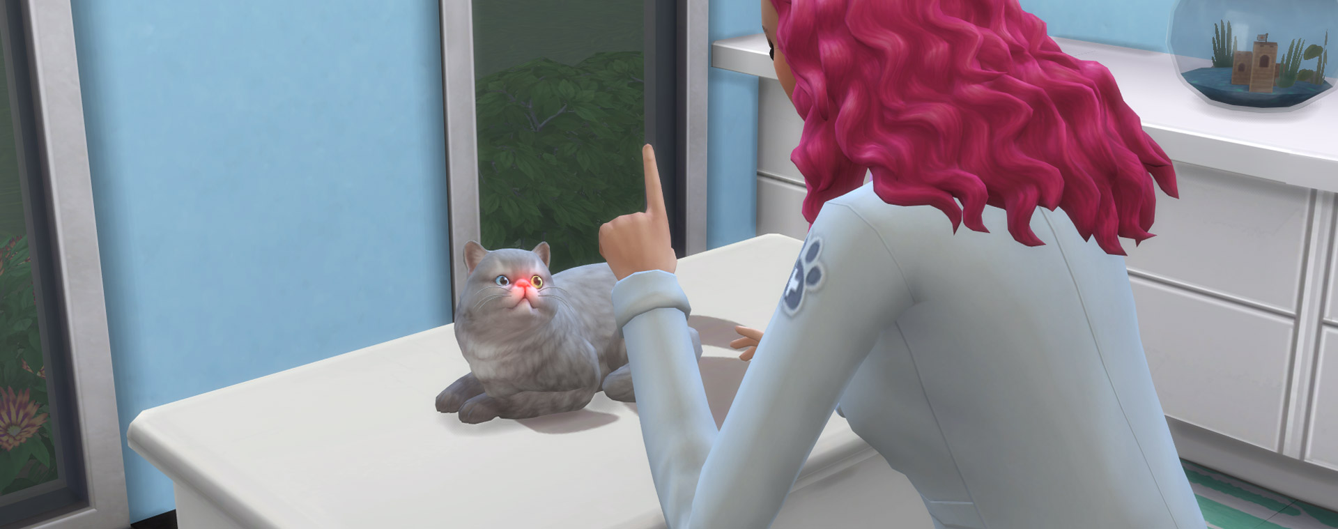 sims 4 cat and dog surgery