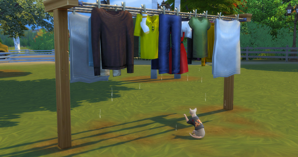 Cats will play with the water that is dripping of the clothes hanging on the Clothesline