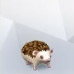 Hedgehog