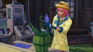 Seasons-Flower-Arranging