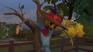Seasons-Patchy