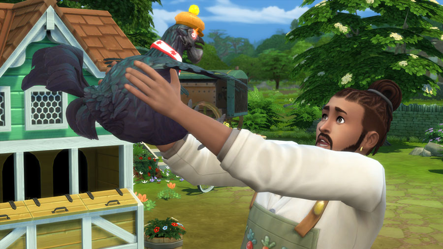 Beginner’s Guide to an impeckable Chicken Coop Sims Online