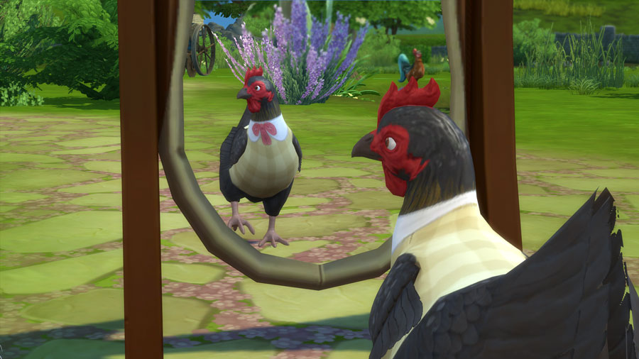 Beginner’s Guide to an impeckable Chicken Coop Sims Online